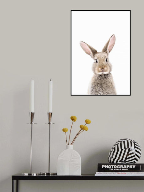 Baby Rabbit Poster och Canvastavla