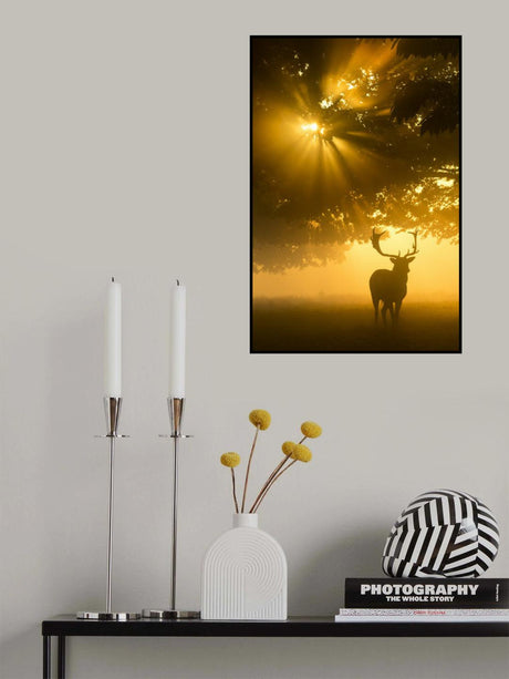 Mist on tree can't stop sunshine Poster och Canvastavla