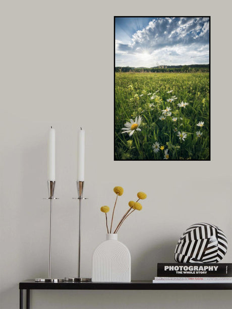 Flowering Meadow Poster och Canvastavla