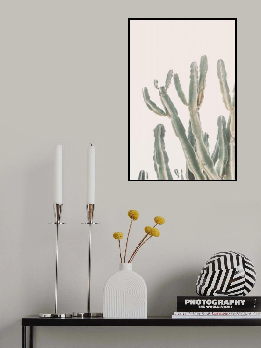 Sunrise Cactus Poster och Canvastavla