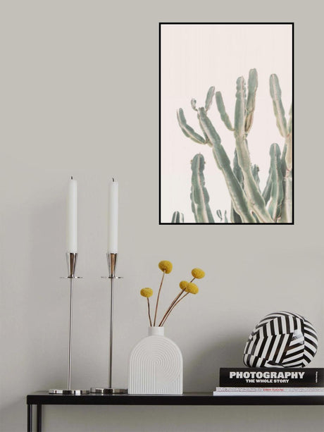 Sunrise Cactus Poster och Canvastavla