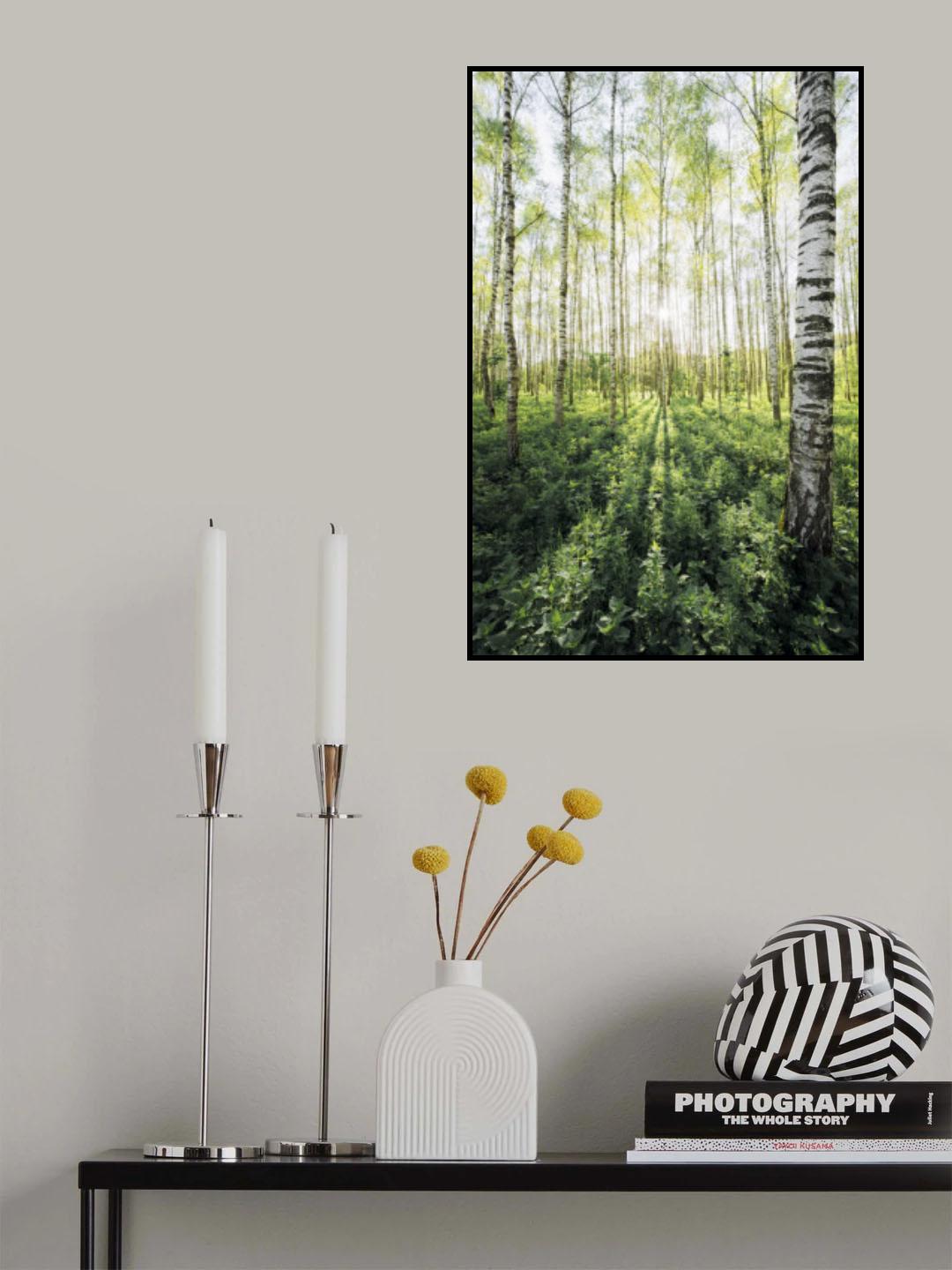 Birch Grove vertical Poster och Canvastavla