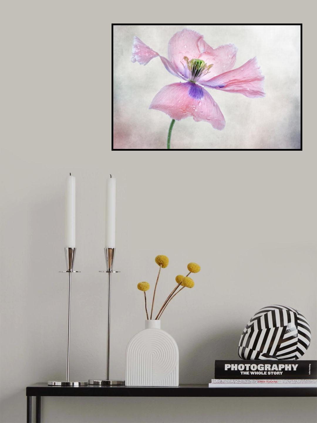 Pastel poppy Poster och Canvastavla