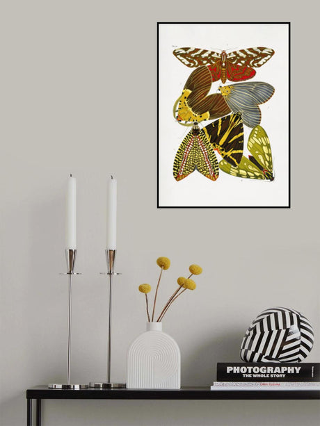 Butterflies 6 Poster och Canvastavla