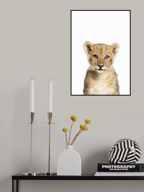 Baby Lion Poster och Canvastavla