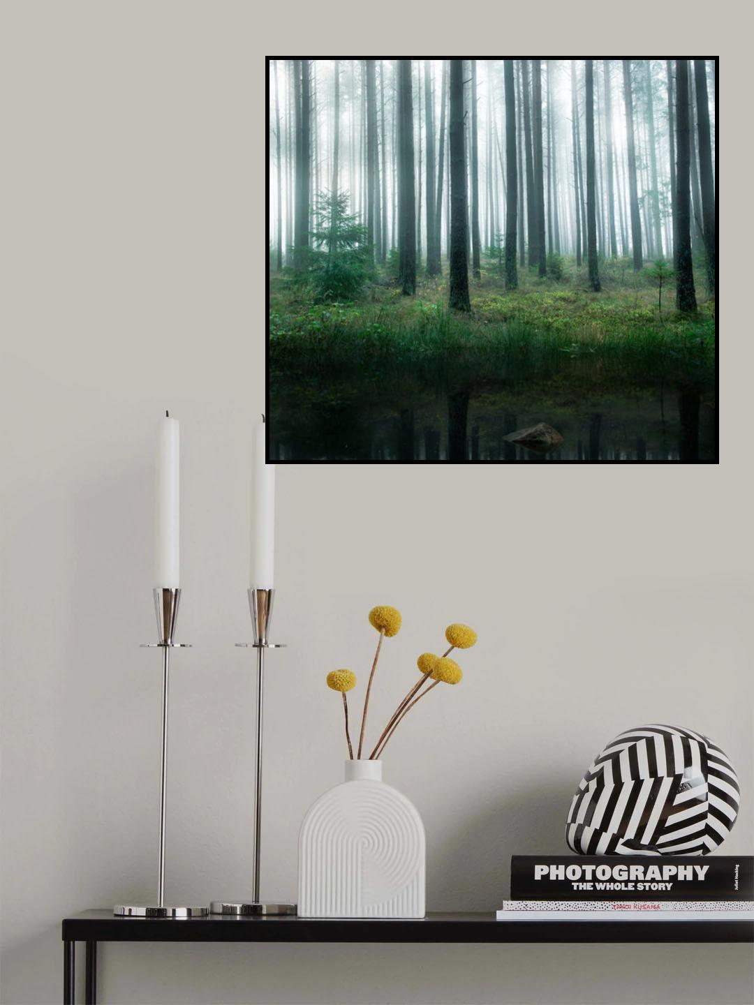 Lake in forest Poster och Canvastavla