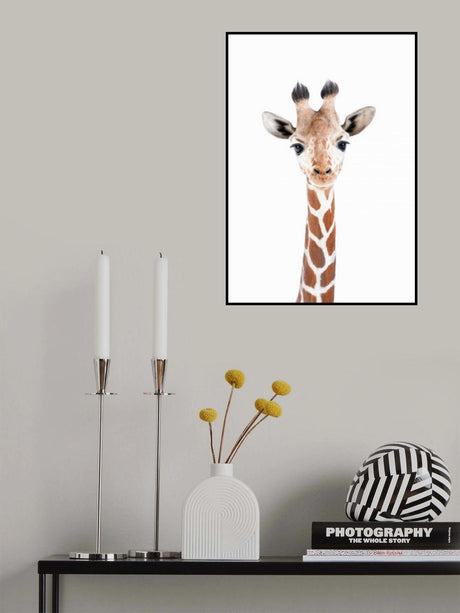 Baby Giraffe Poster och Canvastavla