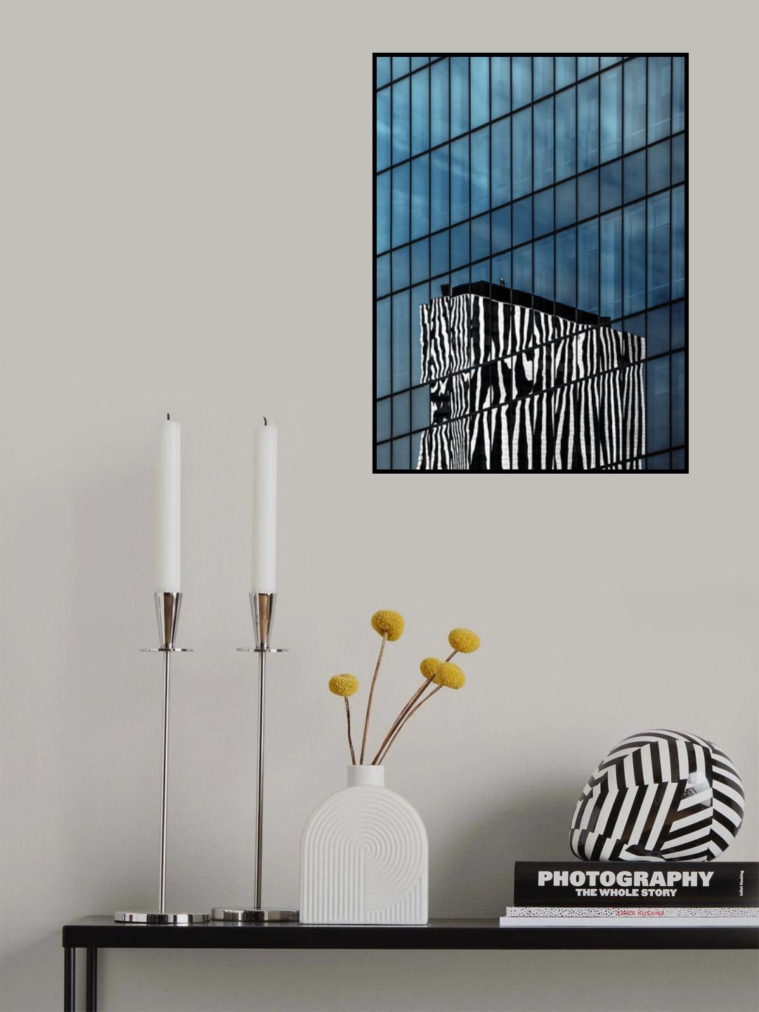 the zebra neighbor Poster och Canvastavla