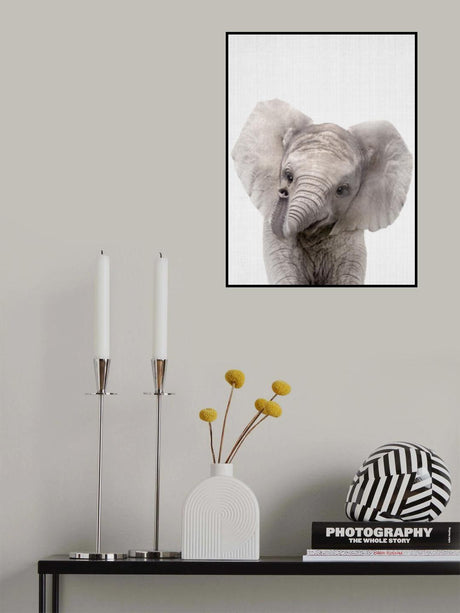 Peekaboo Baby Elephant Poster och Canvastavla