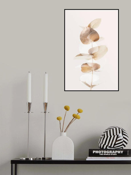 Eucalyptus Creative Gold 04 Poster och Canvastavla