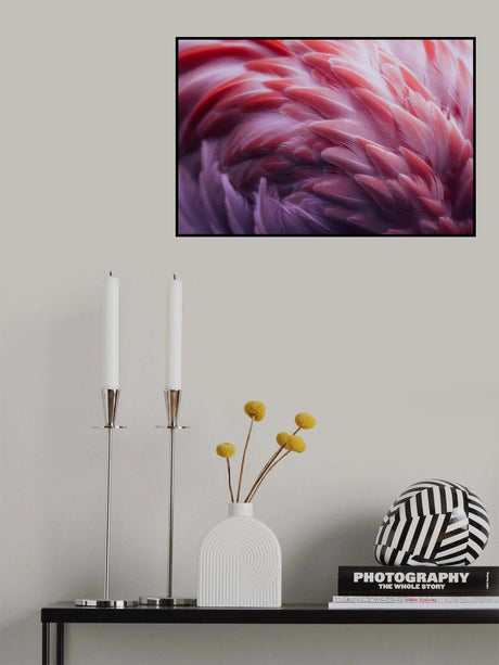 Flamingo Poster och Canvastavla