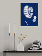 Seashell Ornaments Poster och Canvastavla