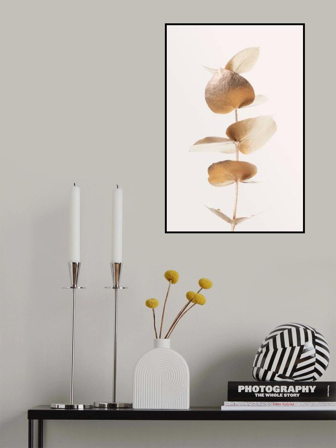 Eucalyptus Gold No 06 Poster och Canvastavla