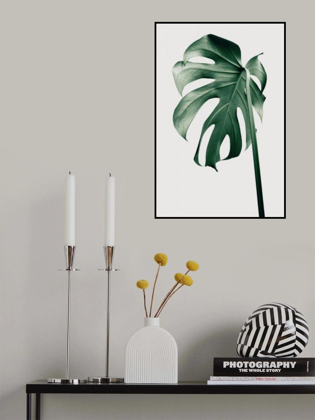 Monstera Natural 44 Poster och Canvastavla