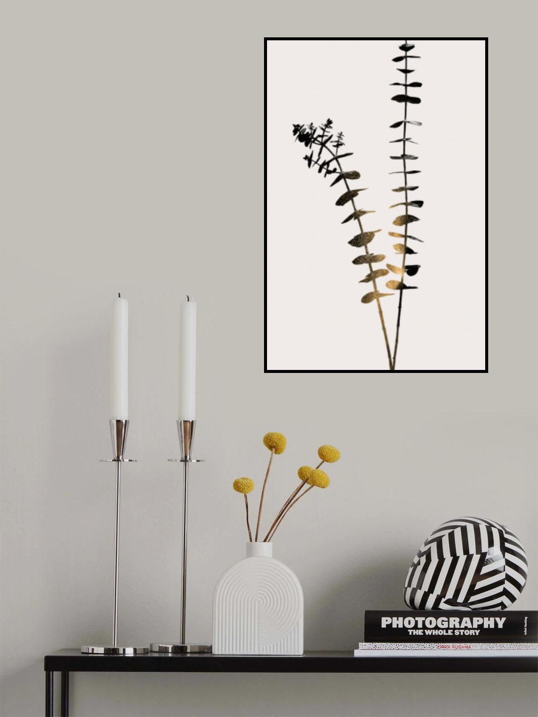 Eucalyptus Dark Gold Poster och Canvastavla