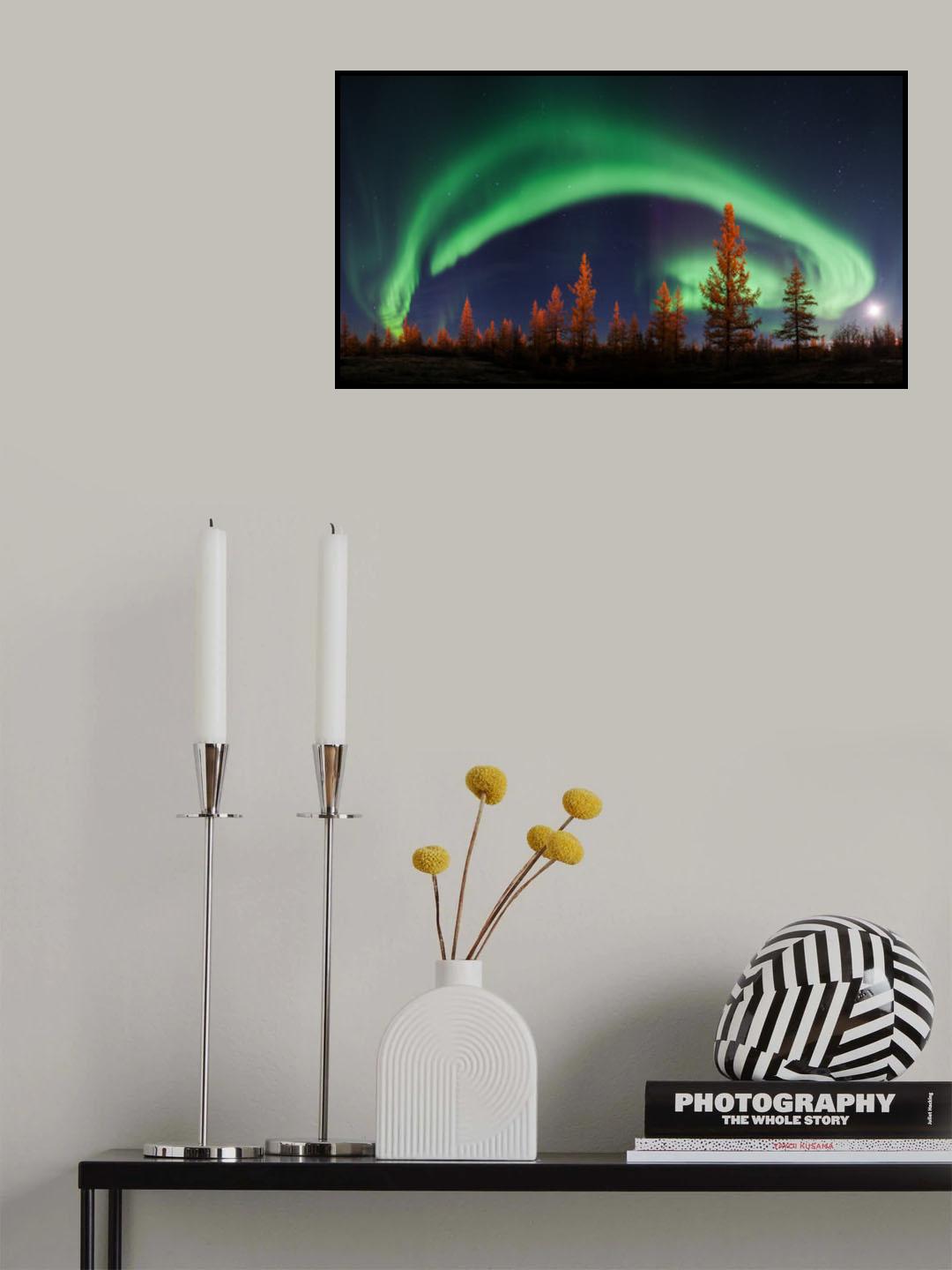 Northern lights Poster och Canvastavla