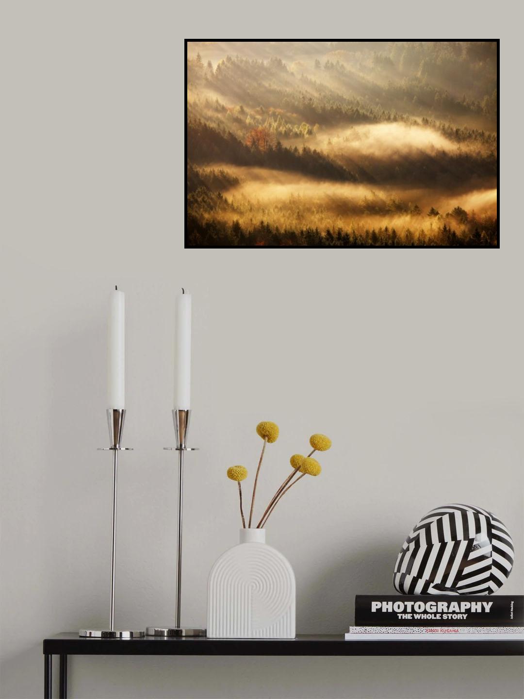 Autumn Rays Poster och Canvastavla