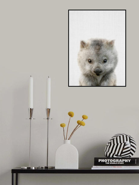 Peekaboo Baby Wombat Poster och Canvastavla