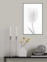 White softness Poster och Canvastavla