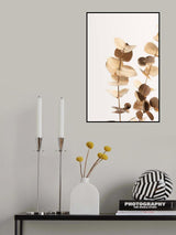 Eucalyptus Gold No 01 Poster och Canvastavla