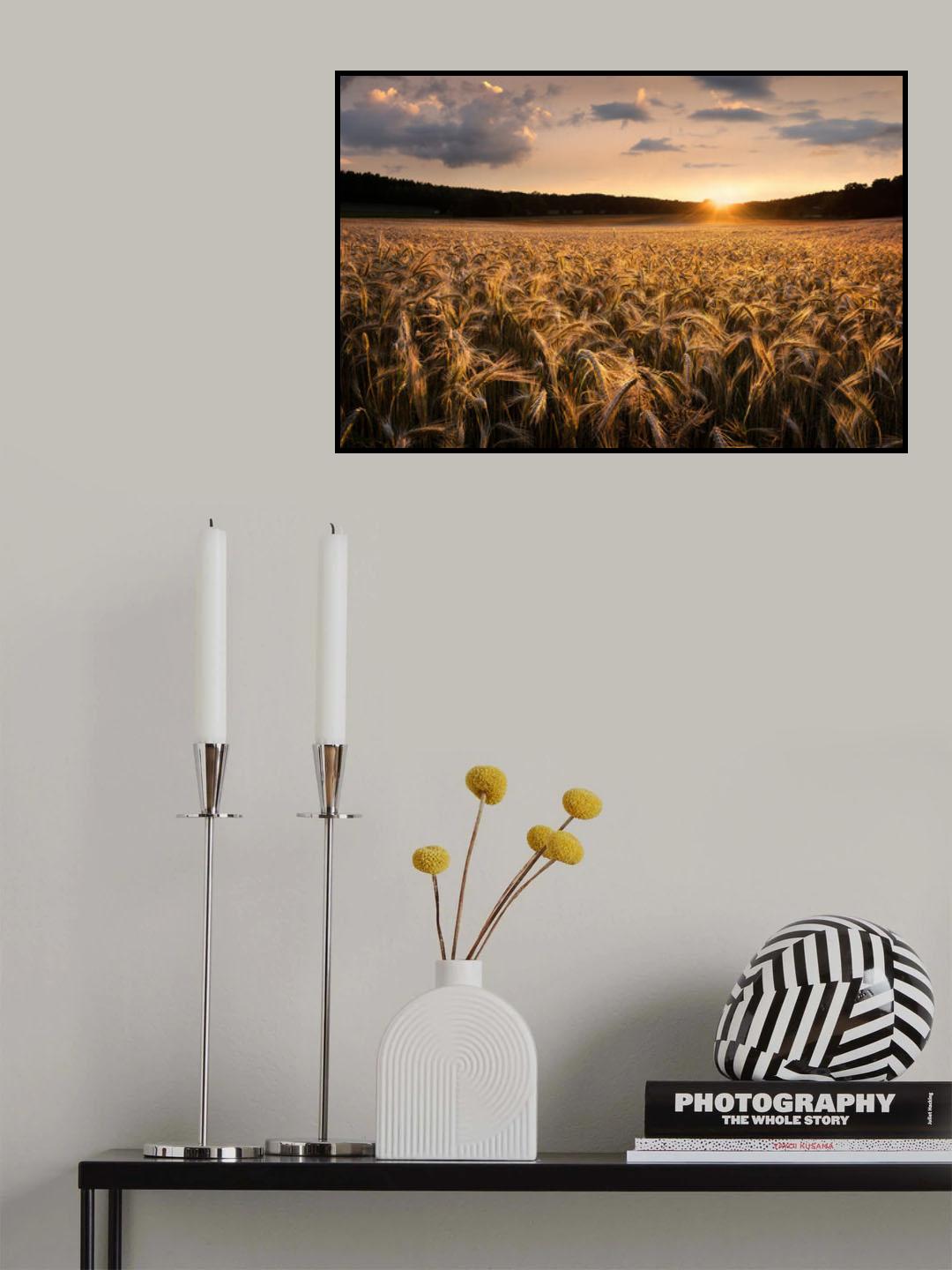 Fields of gold Poster och Canvastavla