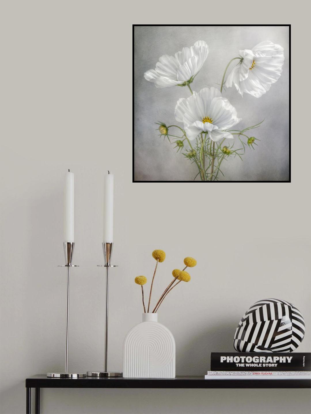 Cosmos Charm Poster och Canvastavla