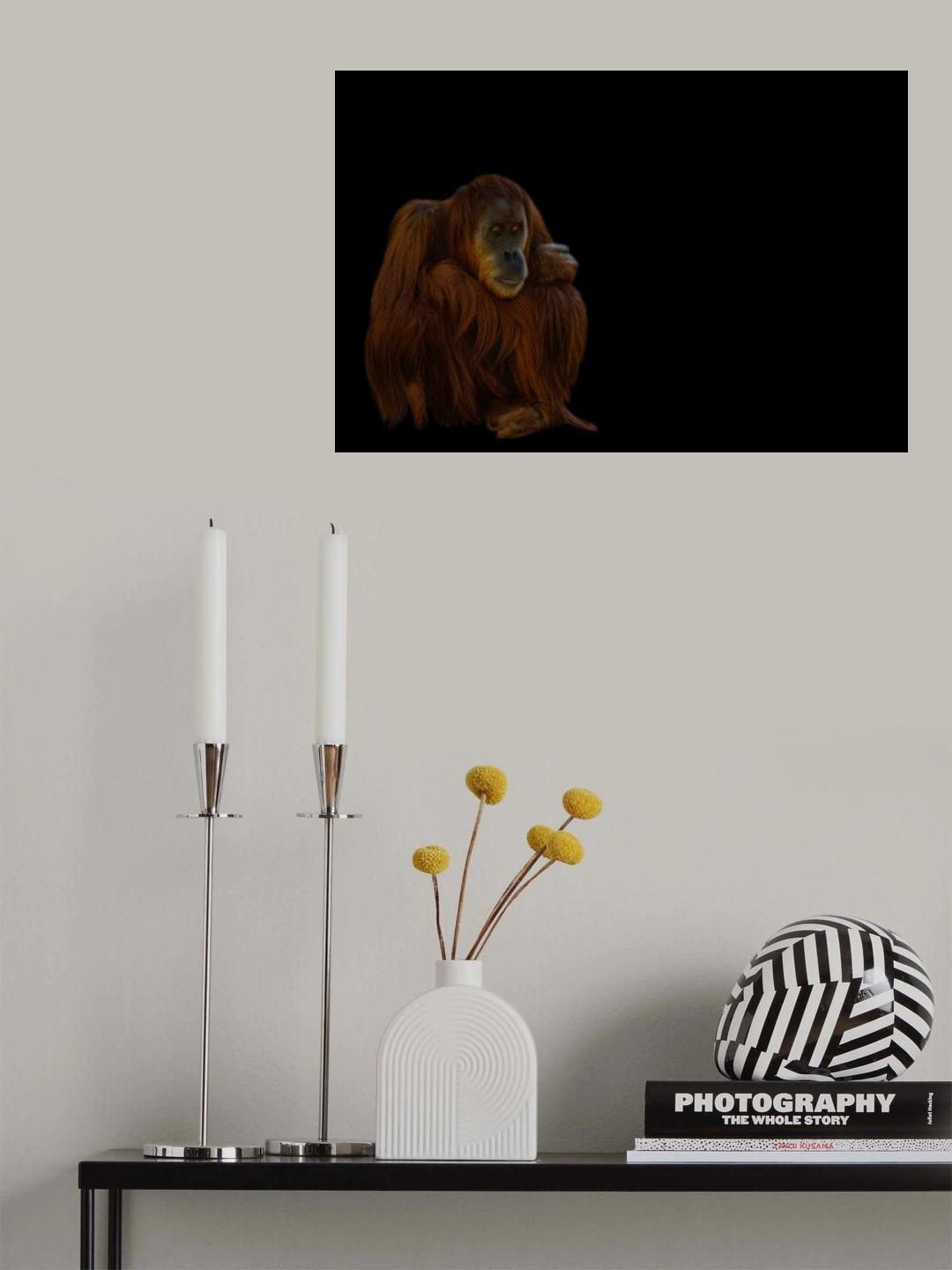 Orang-Utan Poster och Canvastavla