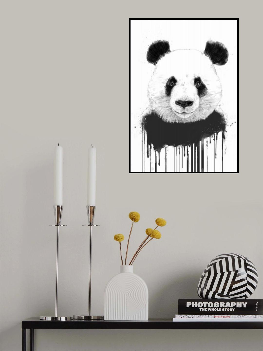 Graffiti panda Poster och Canvastavla