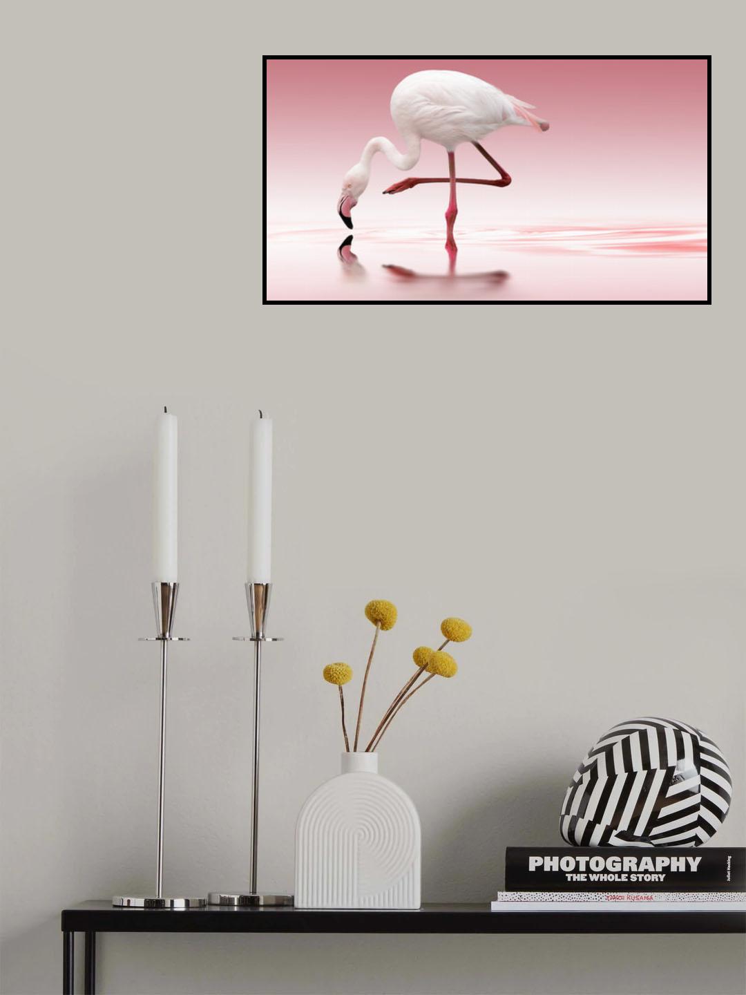 Flamingo Poster och Canvastavla