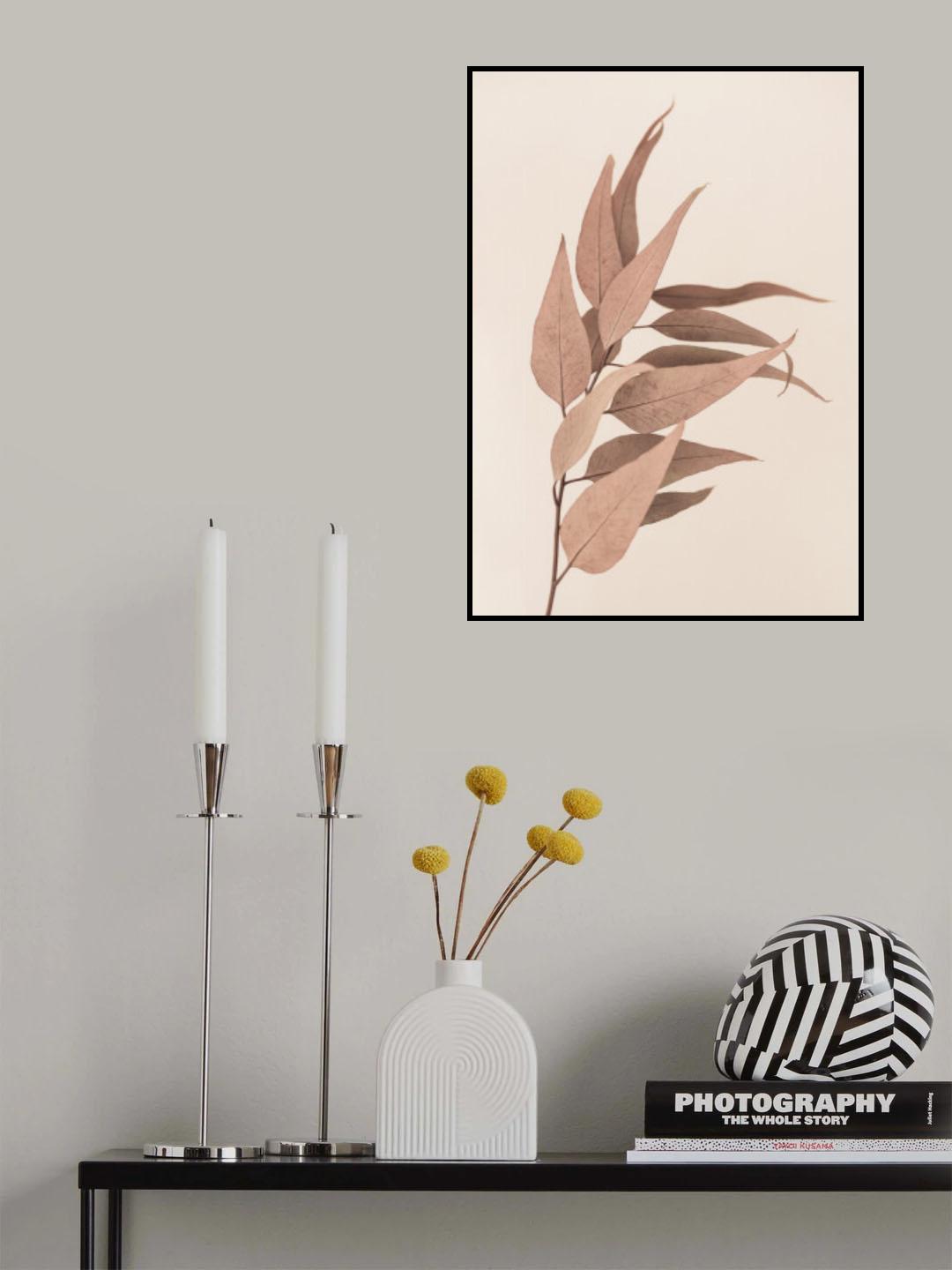 Dried Eucalyptus Poster och Canvastavla