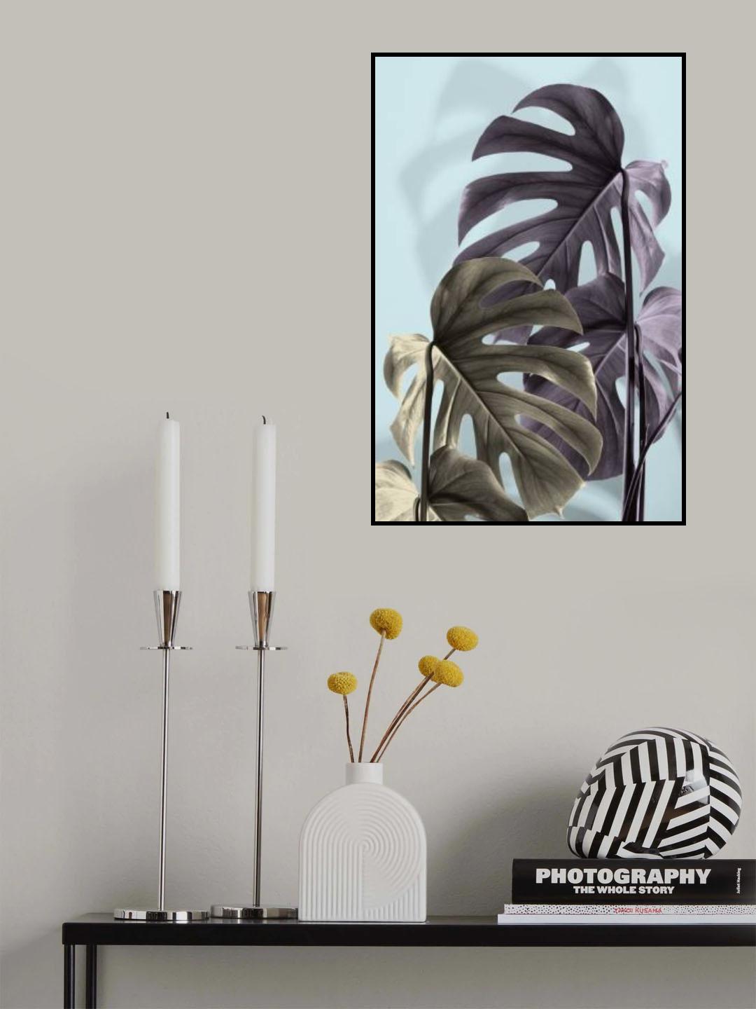 Monstera Blue 02 Poster och Canvastavla