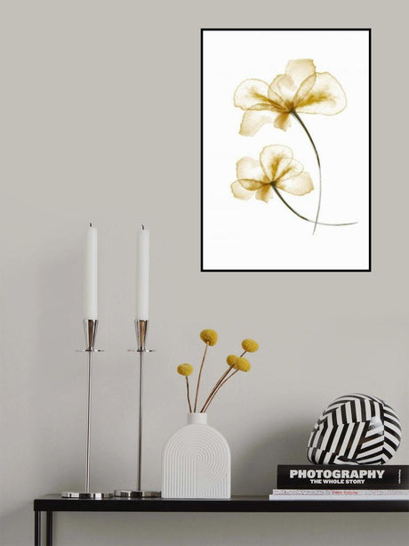 Pressed Flowers Poster och Canvastavla