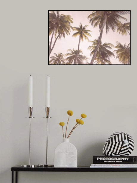 Blush Palm Trees Poster och Canvastavla