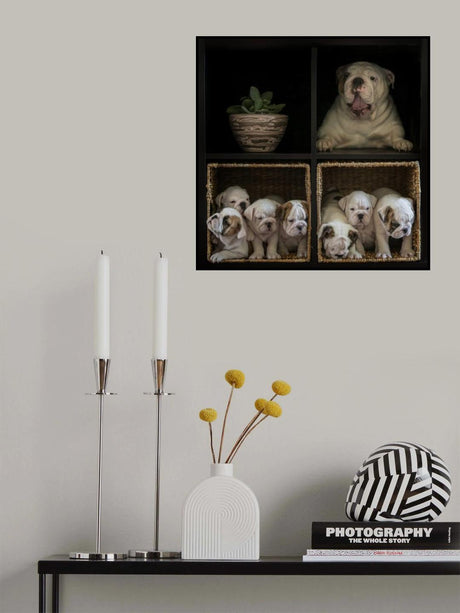 Special design furniture Poster och Canvastavla