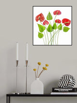 Anthurium Poster och Canvastavla