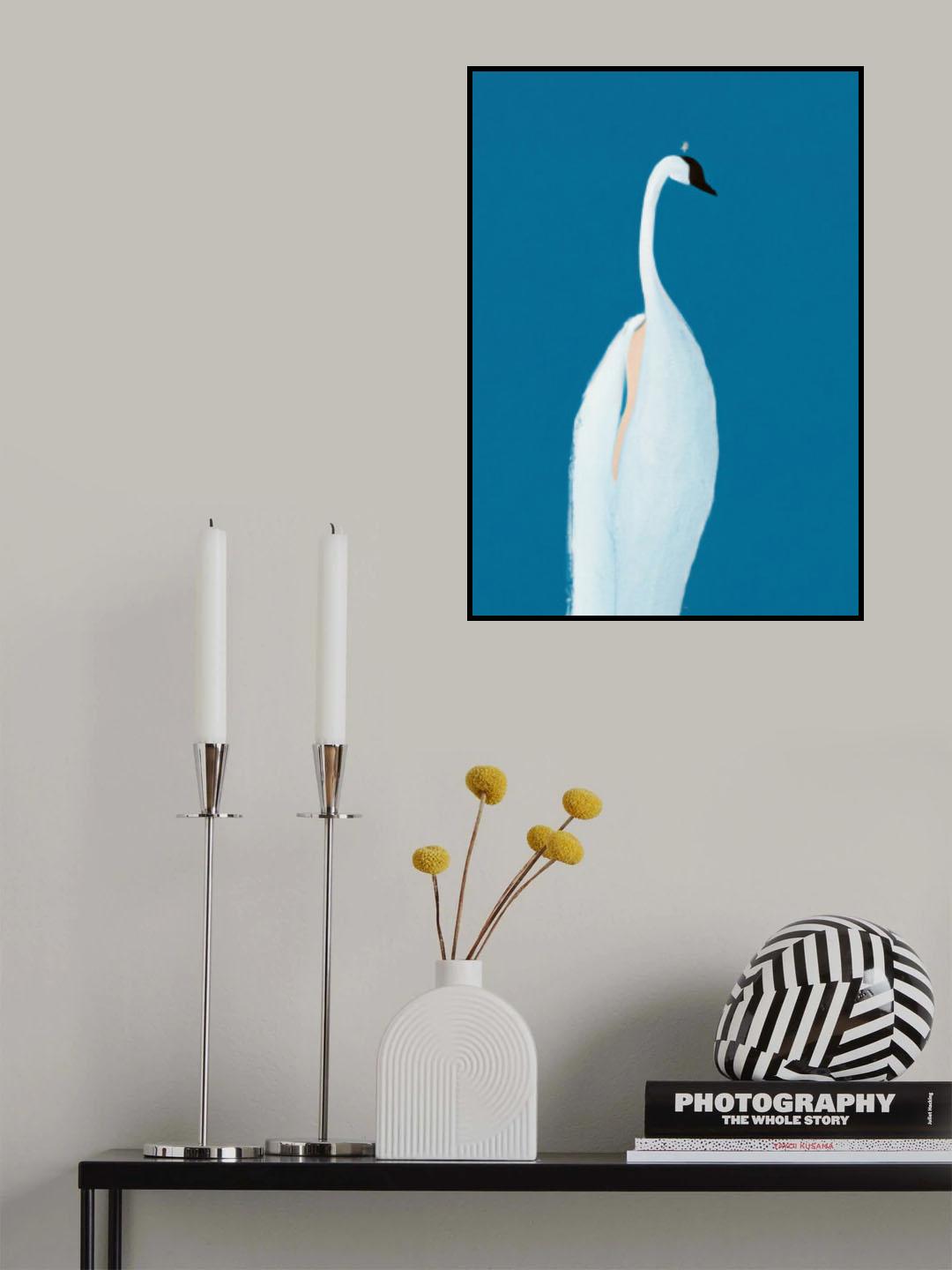 Swan Maybe Poster och Canvastavla