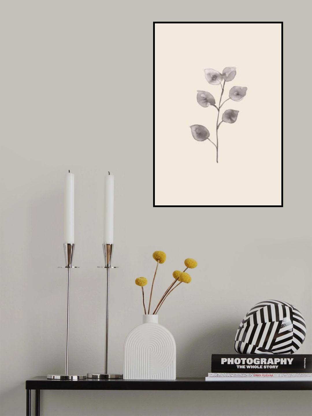 Eucalyptus Twig Poster och Canvastavla