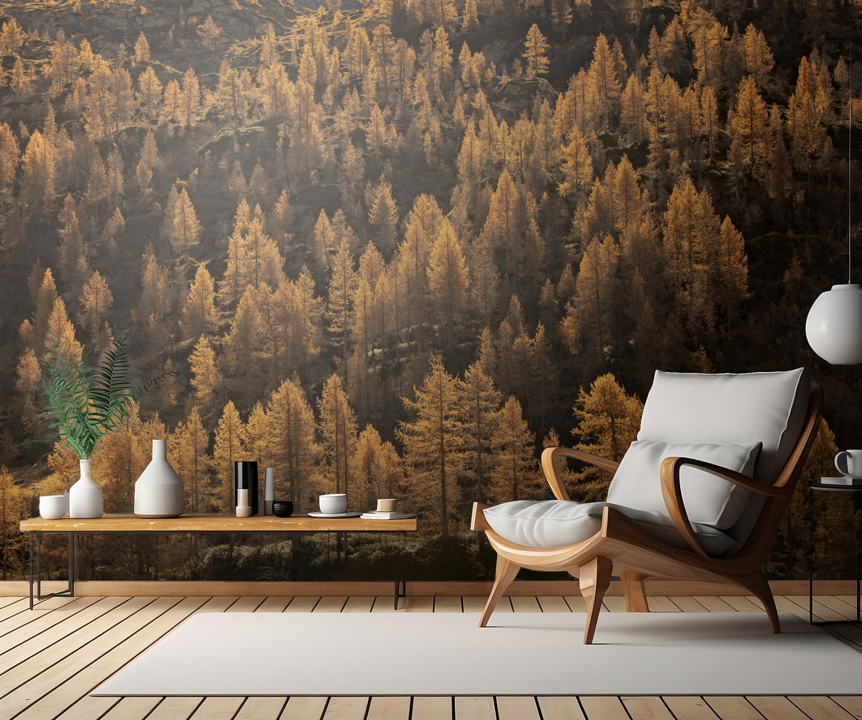 larches in autumn Poster och Canvastavla