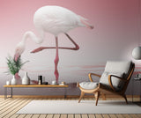 Flamingo Poster och Canvastavla