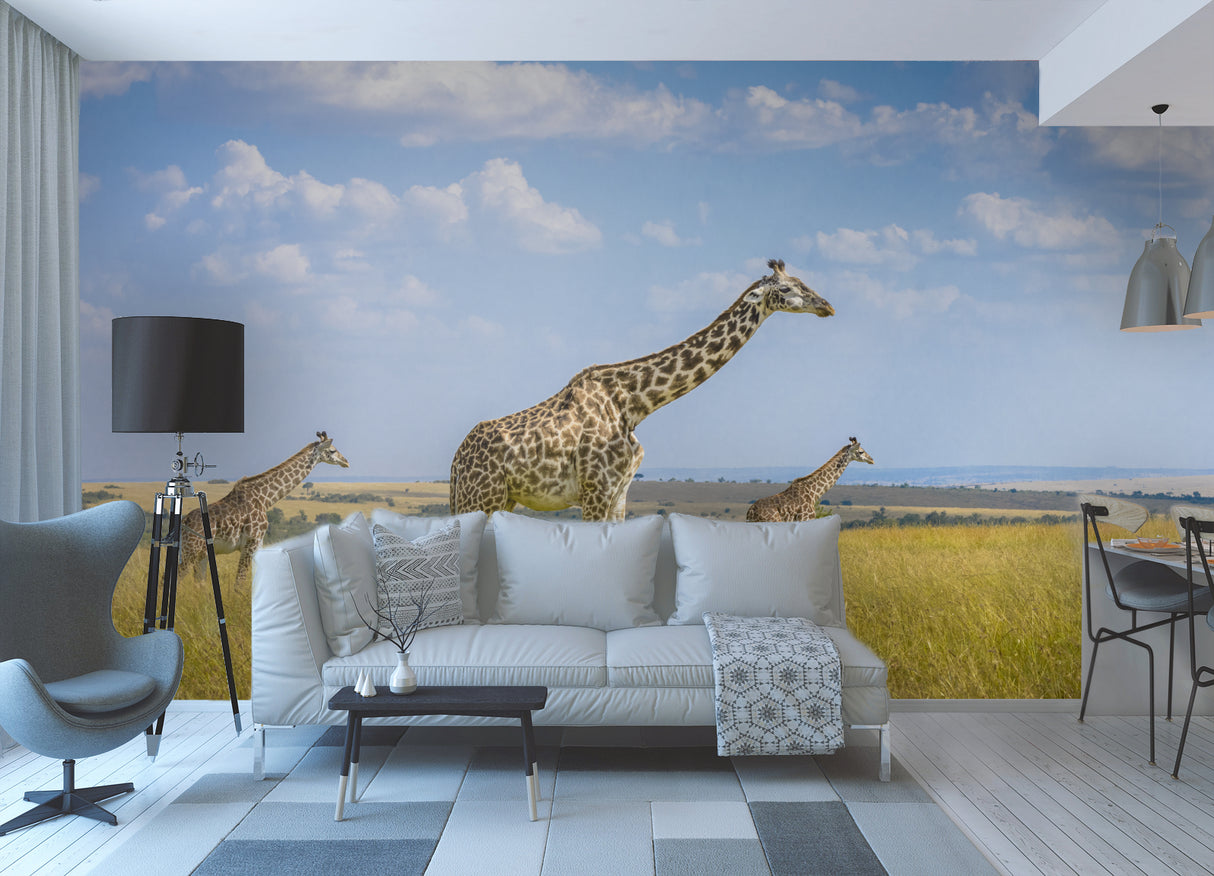 Trio Giraffes Poster och Canvastavla